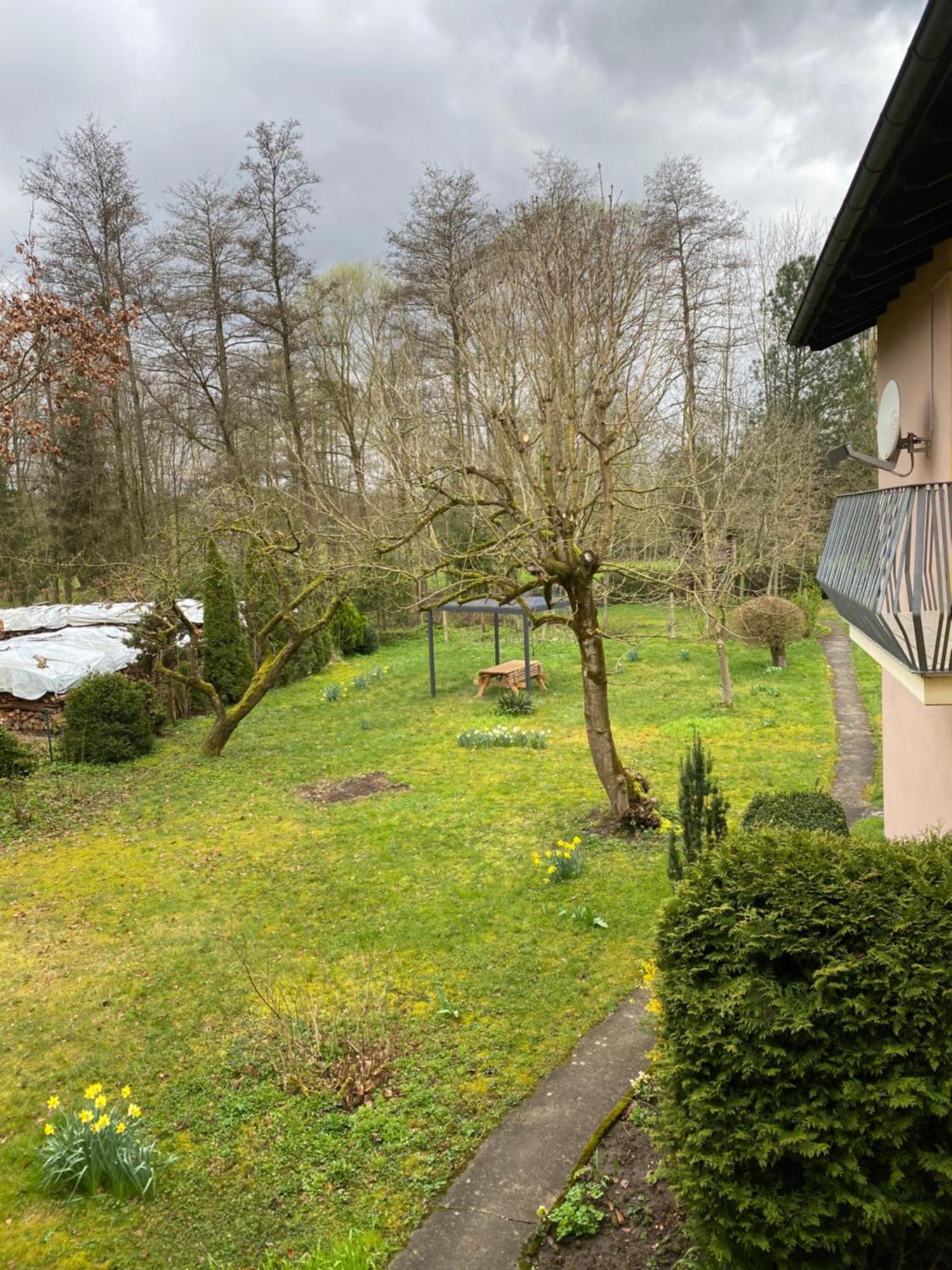 Apartamento Pohl *